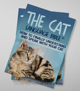 Cat Language Bible Cover