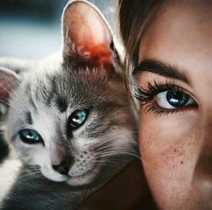 Many cats will even return a blink kiss with their cat eyes, while others become self-conscious and react by nonchalantly grooming or fleeing.
